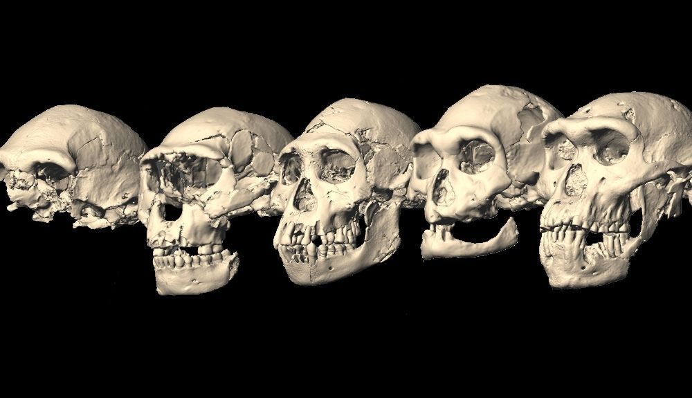 En Dmanisi, se han encontrado los restos más antiguos conocidos de antepasados ​​humanos fuera de África.