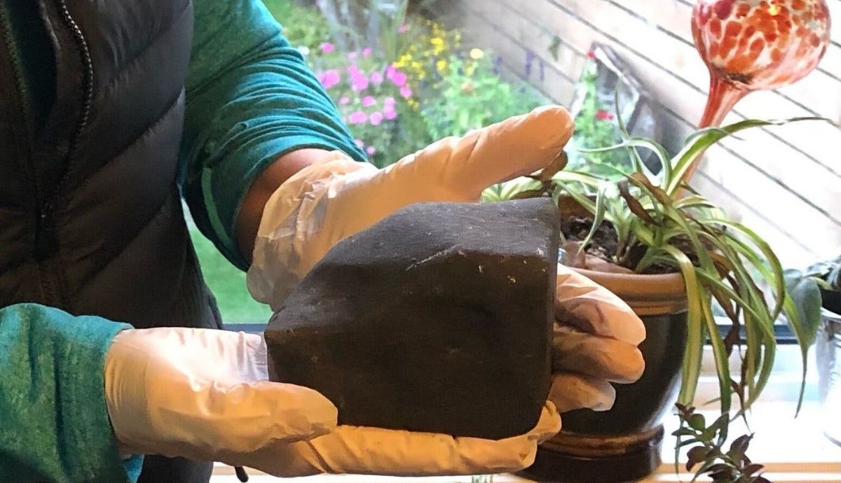 El meteorito que se estrelló en la habitación de Ruth Hamilton en Golden, Columbia Británica.