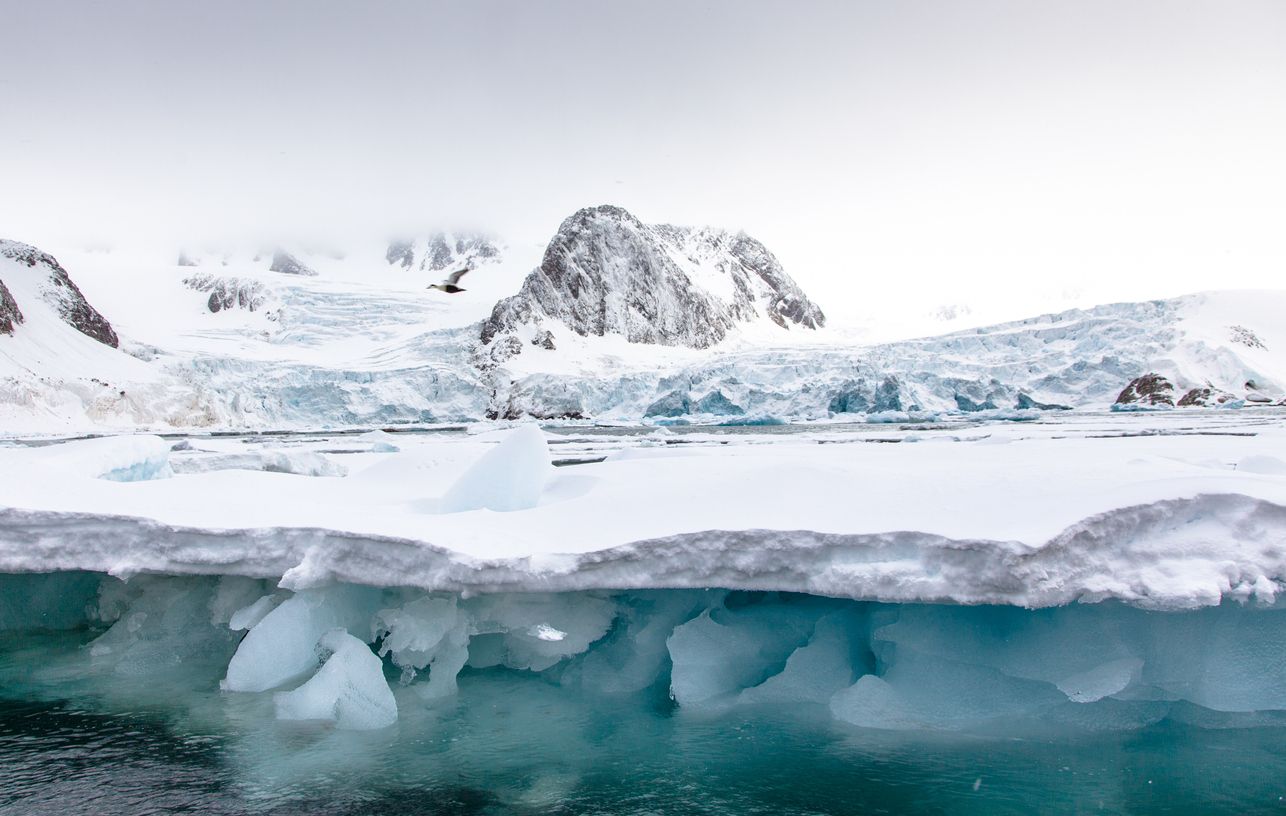 El calentamiento global está afectando a la zona del oceáno Ártico. Desvelamos cuál es la temperatura del Polo Norte.