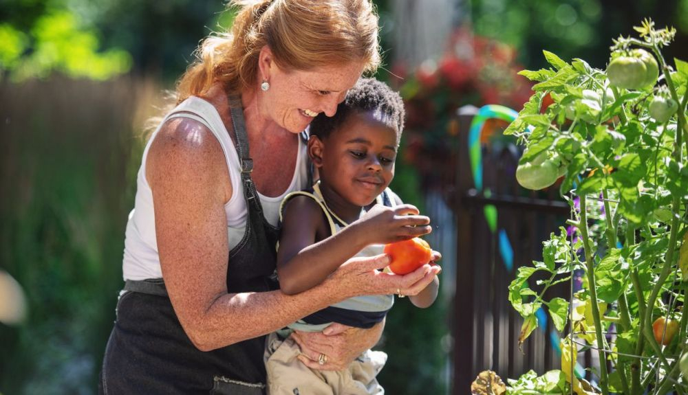 Concienciar a la familia es importante para aprovechar al máximo los alimentos. Concienciar a la familia es importante para aprovechar al máximo los alimentos.