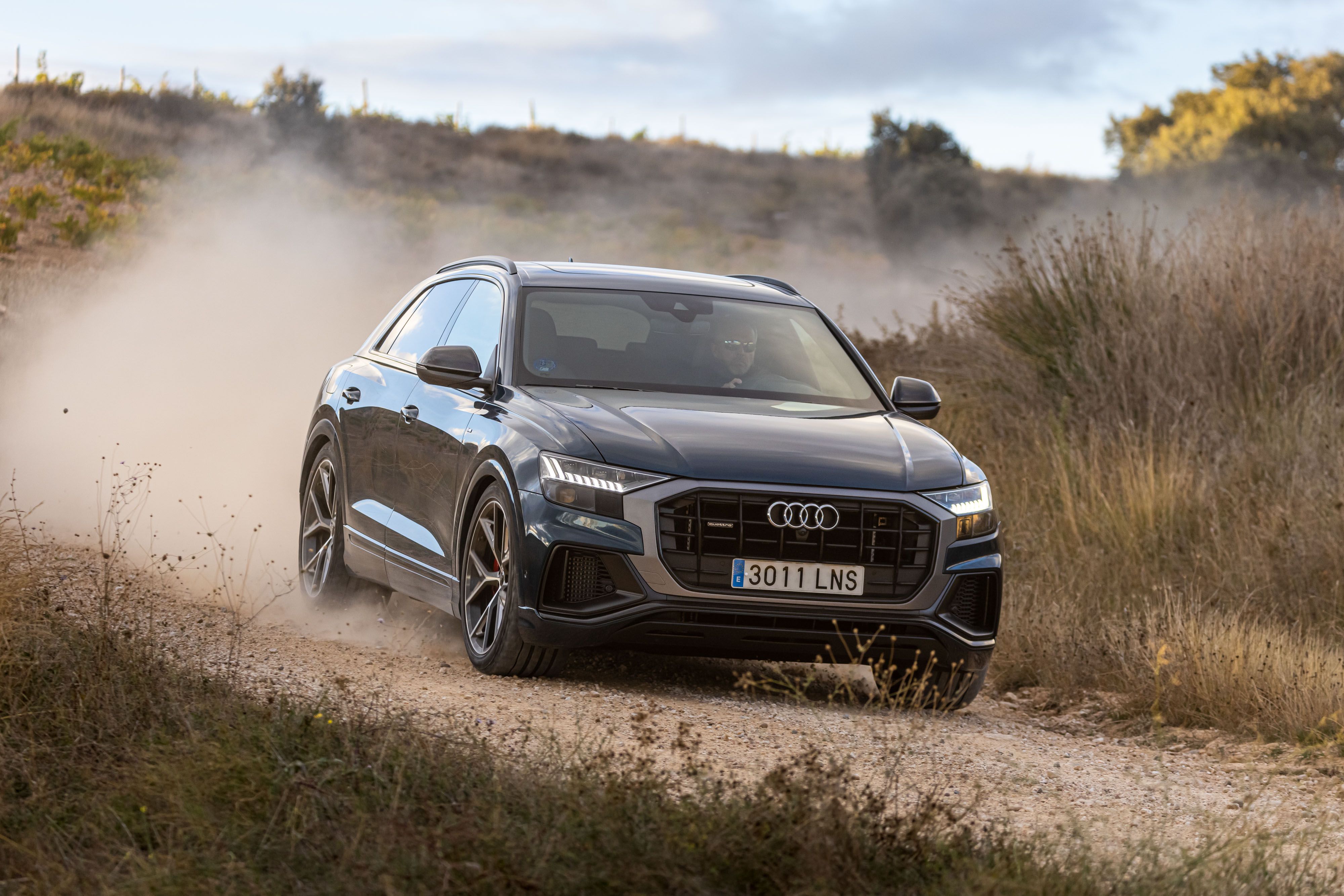 Audi Q8 60 TFSIe 
