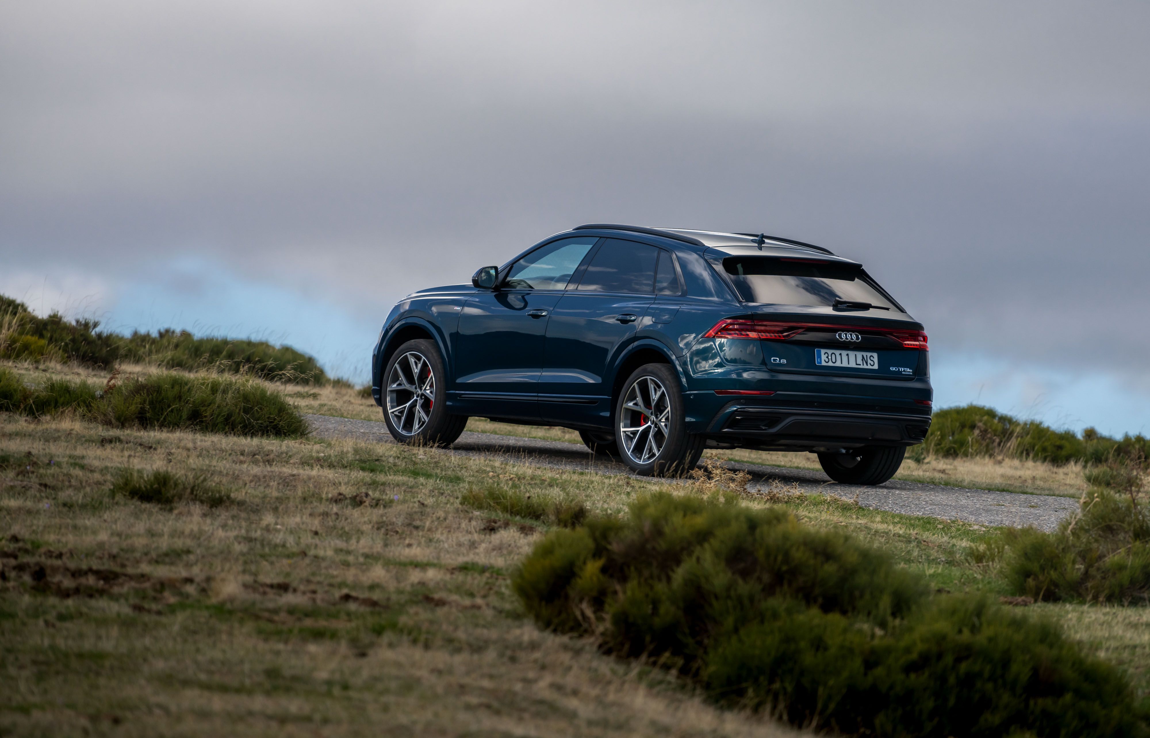 Audi Q8 60 TFSIe 