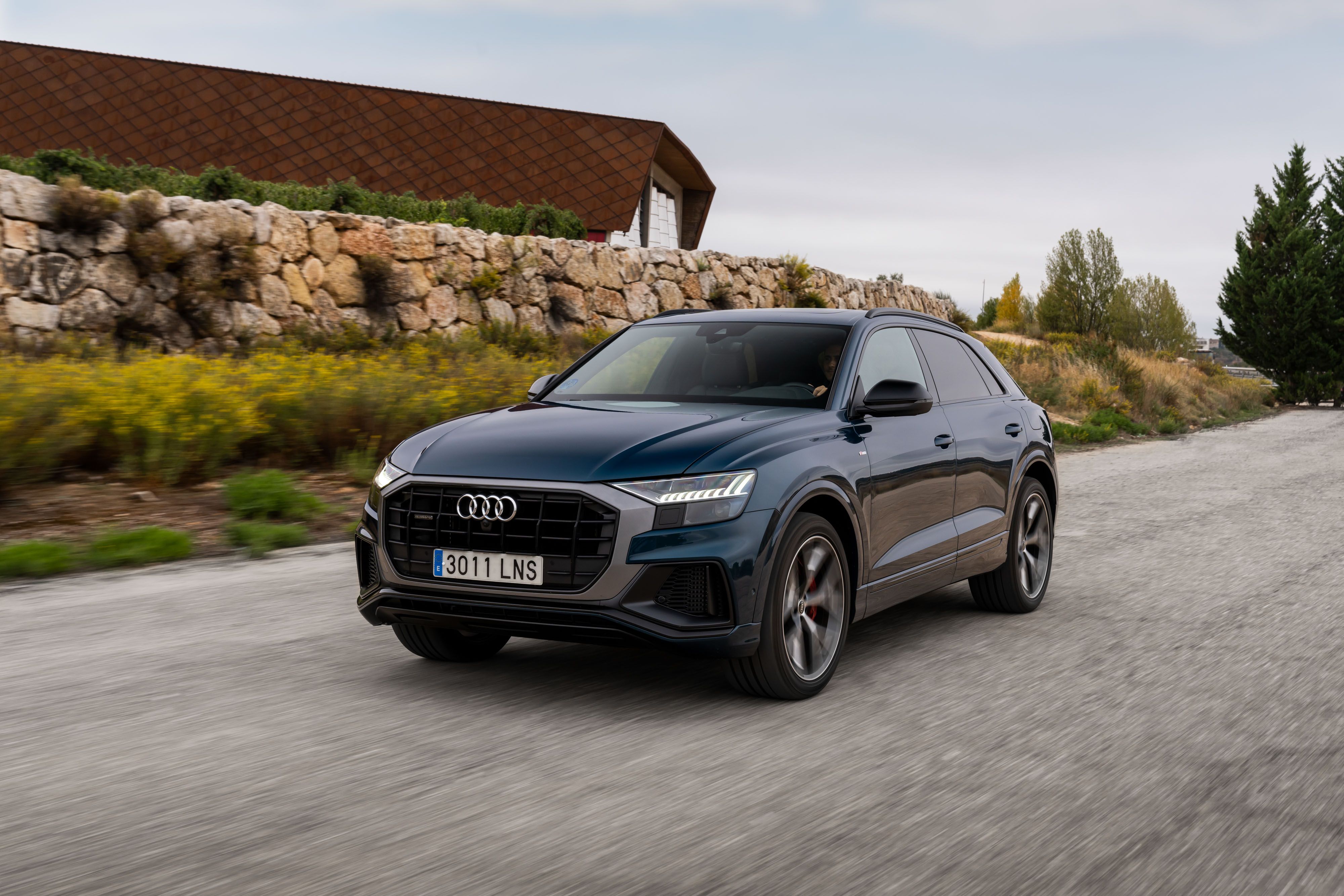 Audi Q8 60 TFSIe 