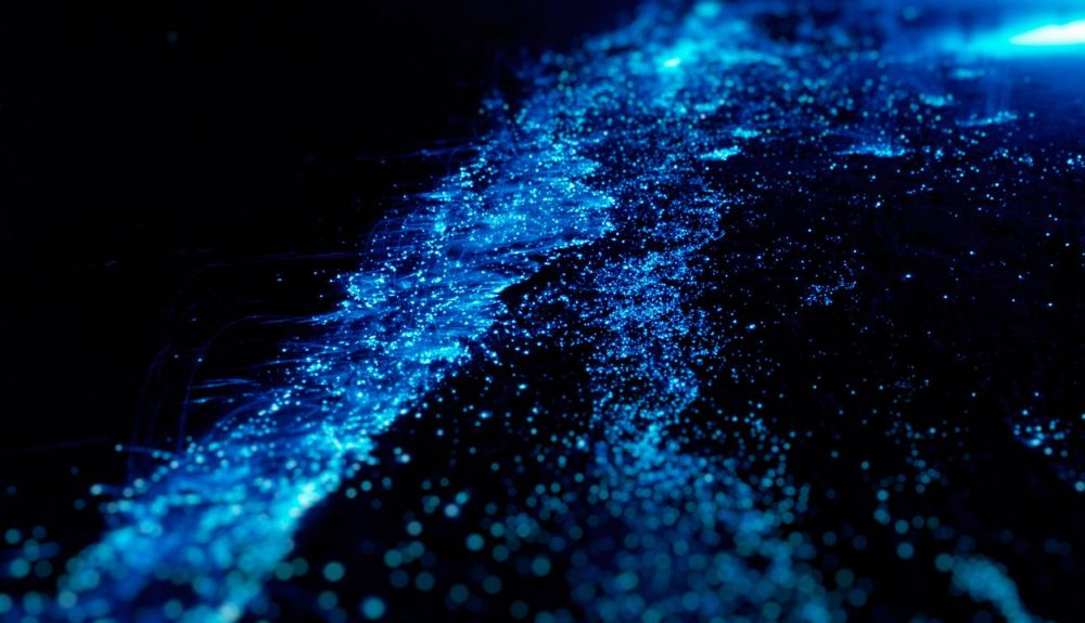 El mar se llena de pequeñas luces en una playa de Maldivas.