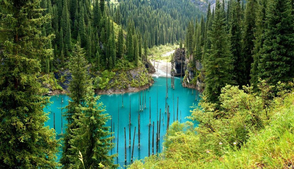Lago Kaindy en las montañas de Tien Shan, Kazajstán 