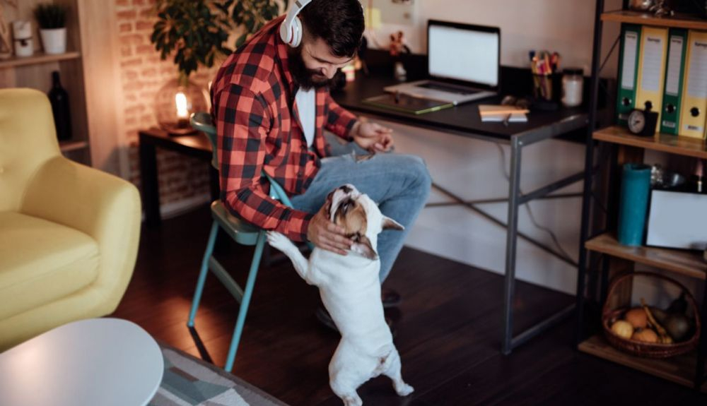 Es un momento para reflexionar sobre cómo vivimos con los perros. Es un momento para reflexionar sobre cómo vivimos con los perros.