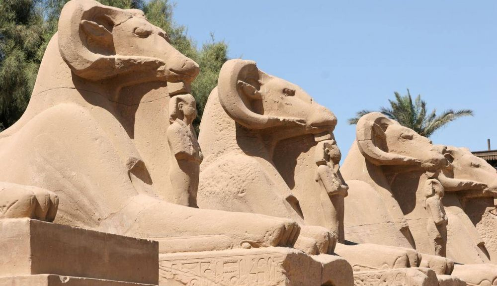 Esfinges con cabeza de carnero en Karnak. Esfinges con cabeza de carnero en Karnak.