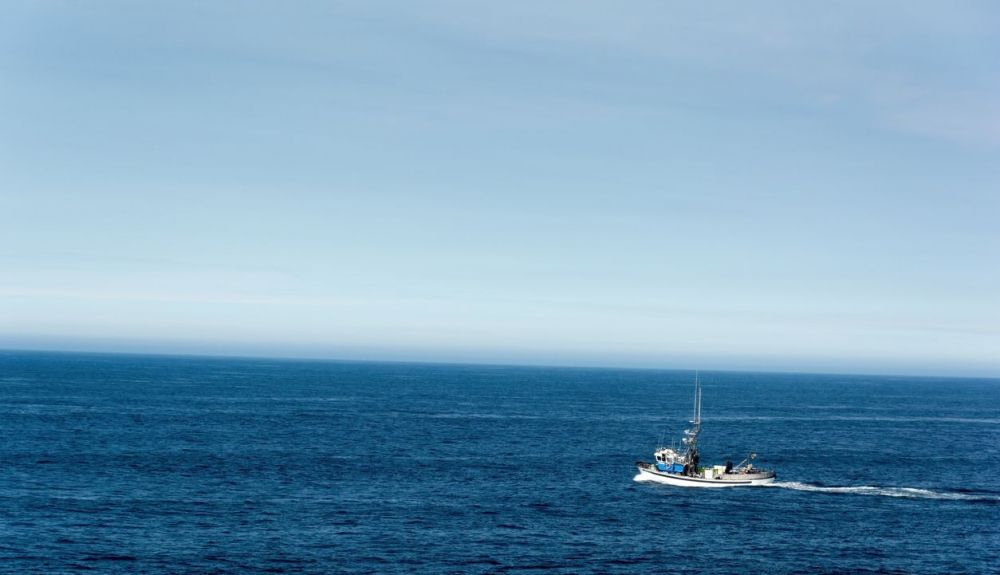 Oceana afirma que existen indicios de prácticas pesqueras irregulares en áreas protegidas del Mediterráneo.