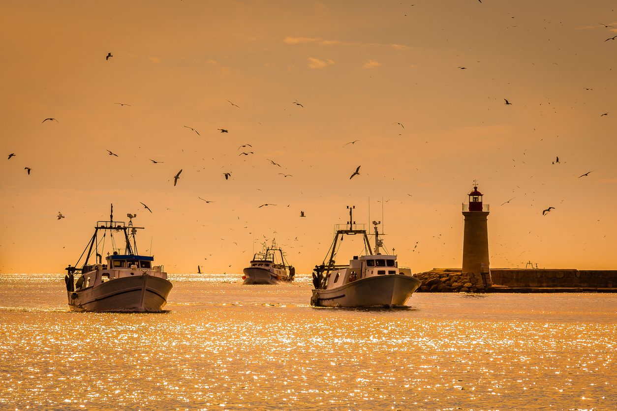 Con esta medida, se pretende combatir la pesca ilegal en el Mediterráneo.