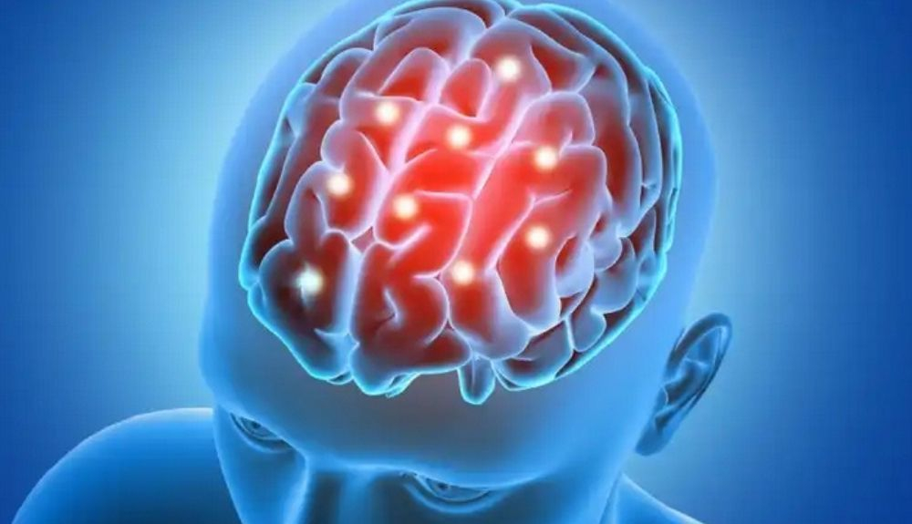 El sistema nervioso central puede controlar el sistema inmunológico periférico. El sistema nervioso central puede controlar el sistema inmunológico periférico.