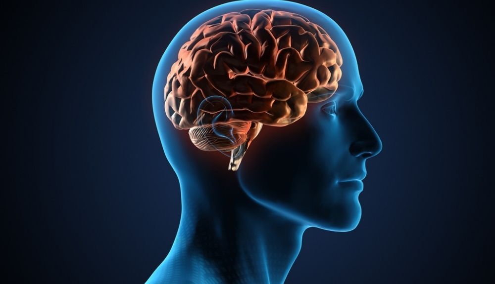 El cerebro tiene un tipo especial de memoria para infecciones pasadas.