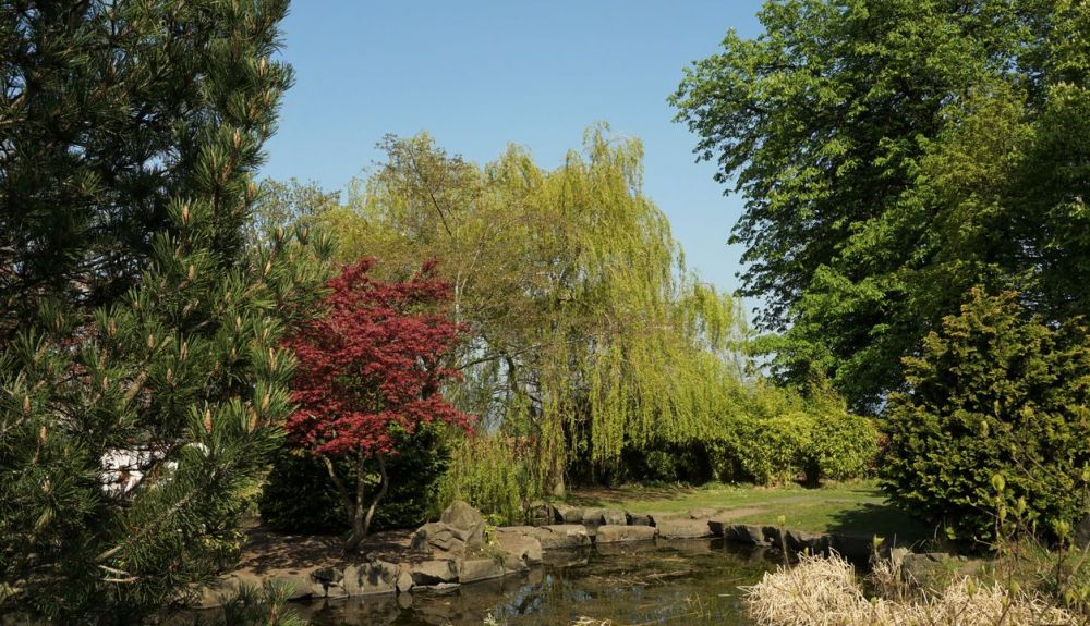 Jardín japonés de los terrenos del castillo de Lauriston junto a Cramond. Jardín japonés de los terrenos del castillo de Lauriston junto a Cramond.