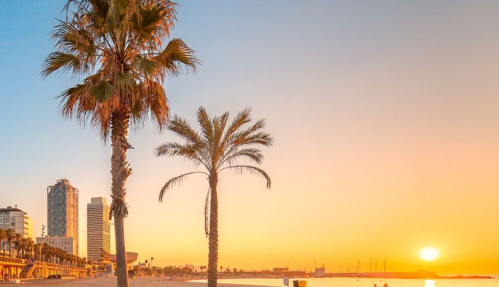 Las playas de Barcelona se han convertido en un laboratorio natural. Las playas de Barcelona se han convertido en un laboratorio natural.