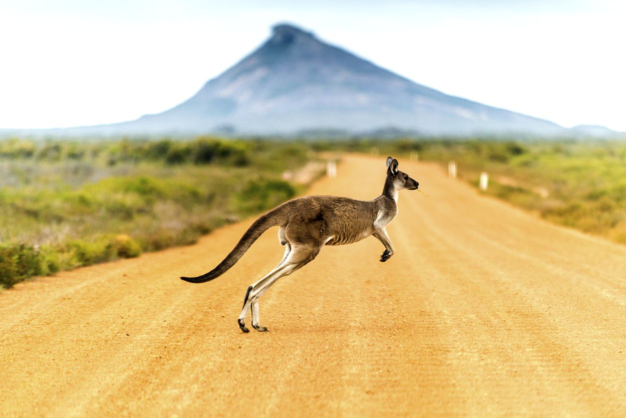 Australia es un vasto país que reúne un buen número de curiosidades.