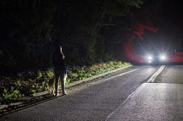 Sistema de detección de peatones en la oscuridad de Ford