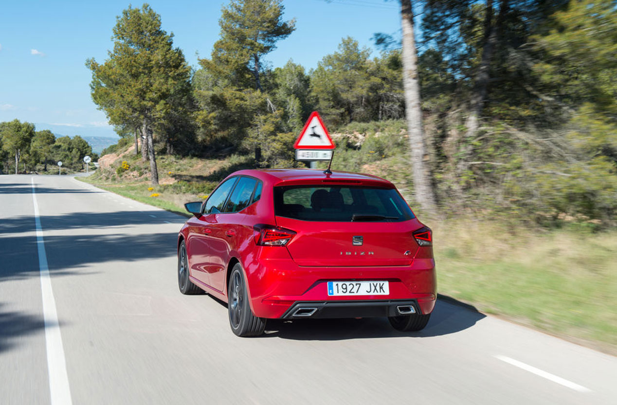 Trucos y consejos para prevenir accidentes con animales sueltos en carretera