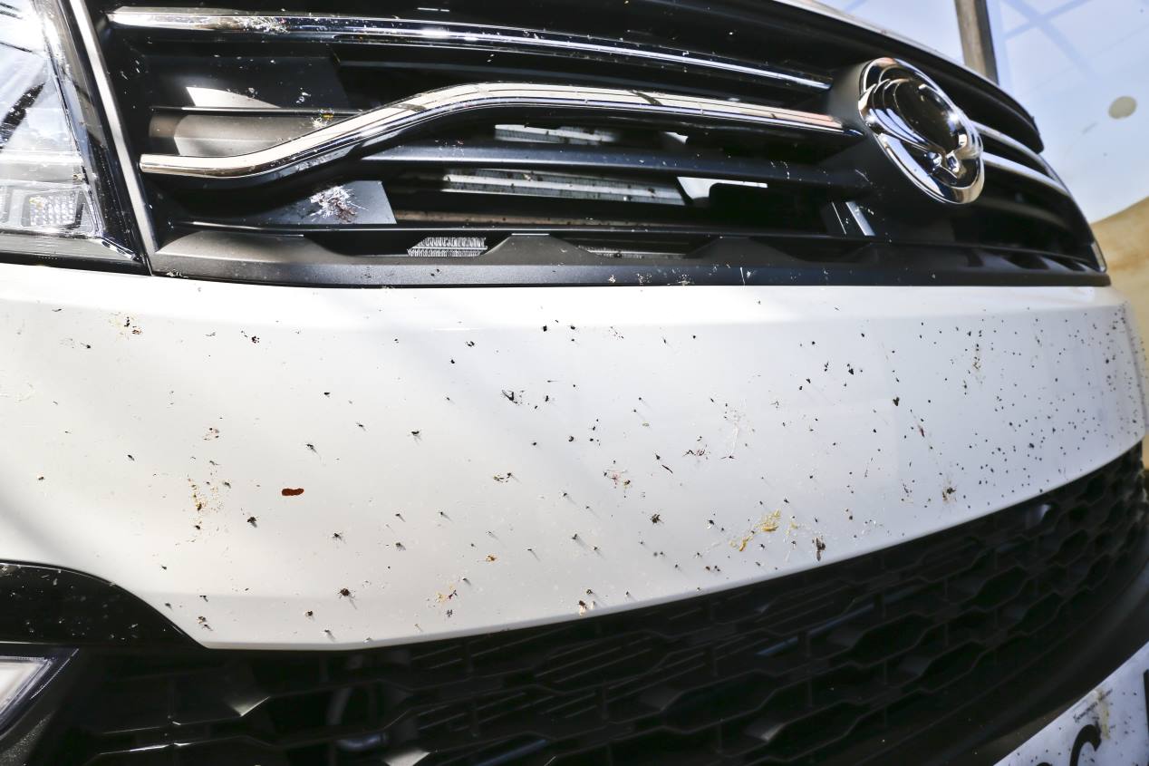 Por qué no debes quitar los mosquitos del coche con manguera a presión, estropajos o papel