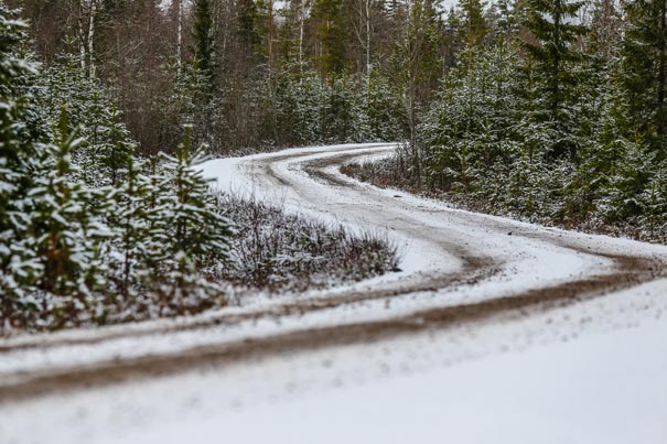 Rally de Suecia 2020: previo y horarios