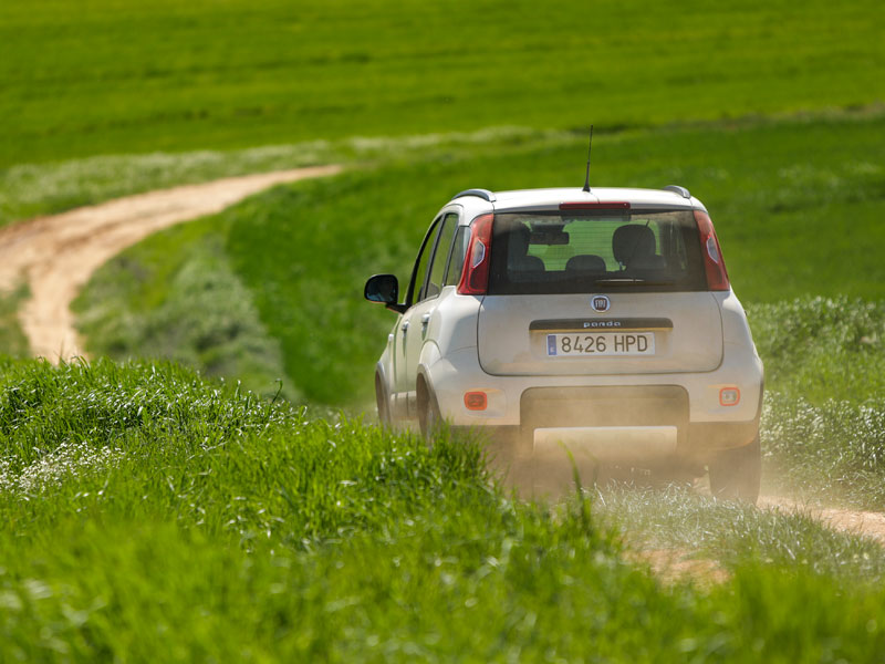 Fiat Panda 4x4 Climbing