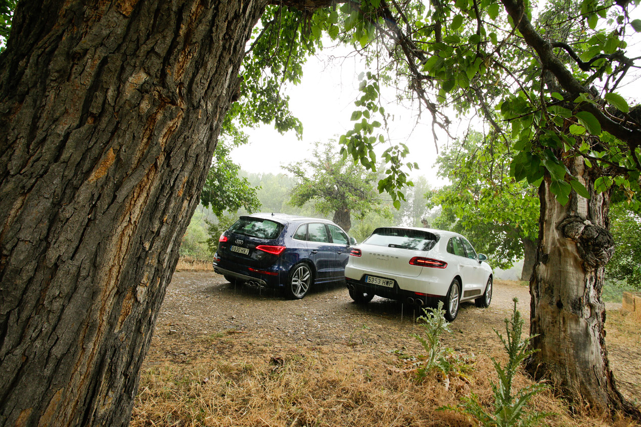 Comparativa: Audi SQ5 TDi vs Porsche Macan S Diesel