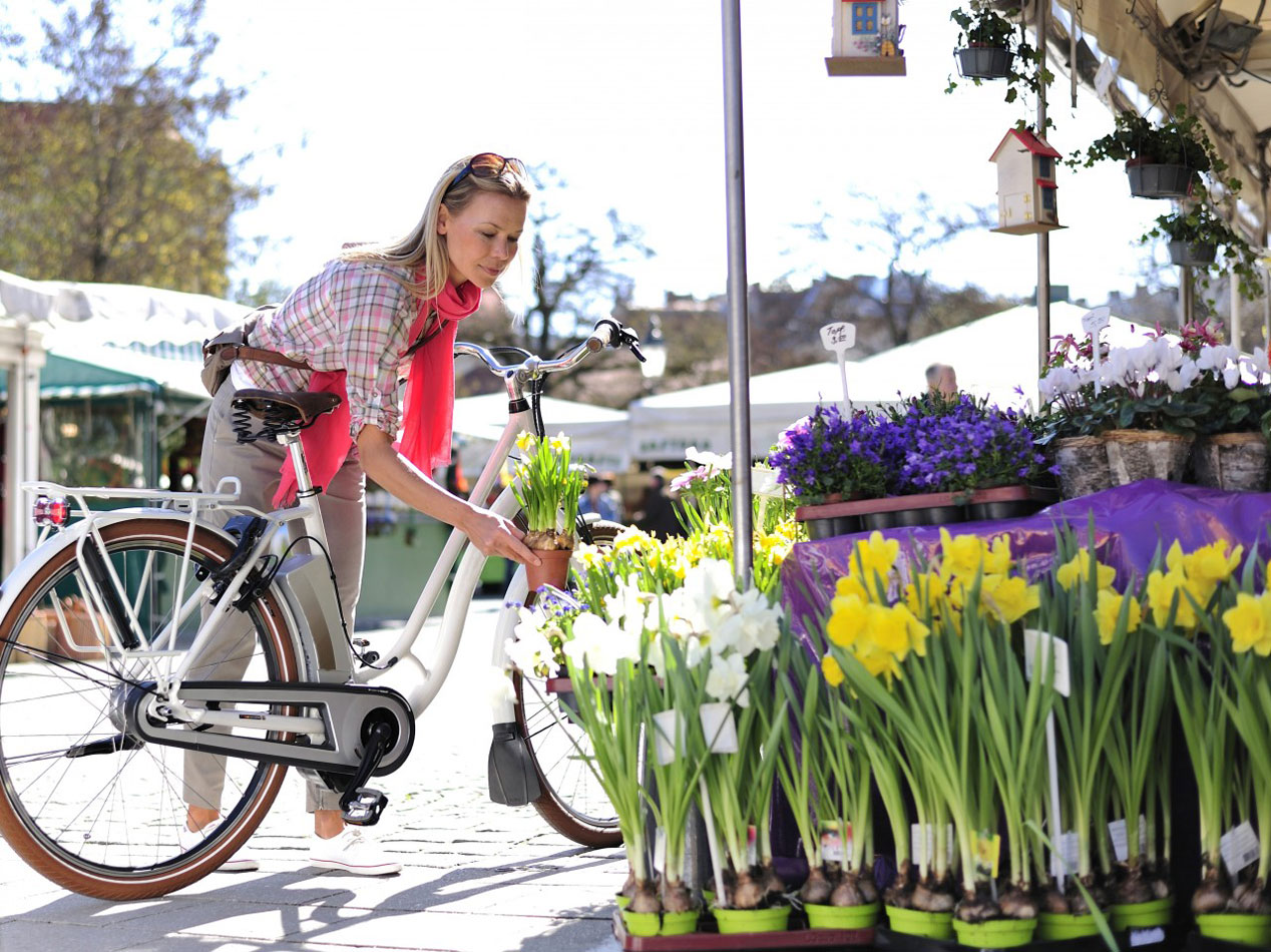 Bicicleta eléctrica, consejos